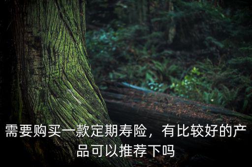 需要購買一款定期壽險，有比較好的產(chǎn)品可以推薦下嗎