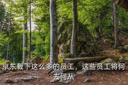 京東裁下這么多的員工，這些員工將何去何從