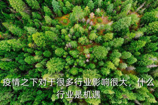 疫情之下對(duì)于很多行業(yè)影響很大，什么行業(yè)是機(jī)遇