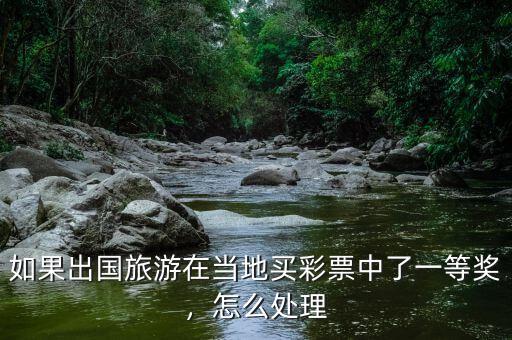 如果出國(guó)旅游在當(dāng)?shù)刭I(mǎi)彩票中了一等獎(jiǎng)，怎么處理