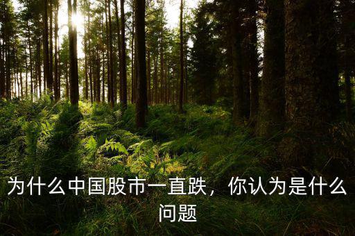 為什么中國股市一直跌，你認(rèn)為是什么問題
