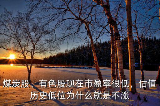 煤炭股、有色股現(xiàn)在市盈率很低，估值歷史低位為什么就是不漲