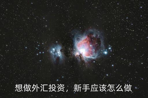 想做外匯投資，新手應(yīng)該怎么做