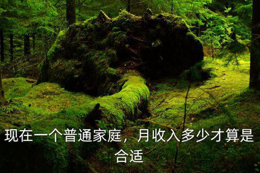 現(xiàn)在一個(gè)普通家庭，月收入多少才算是合適