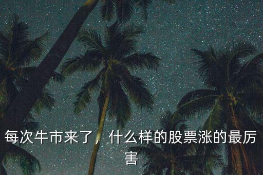 每次牛市來了，什么樣的股票漲的最厲害