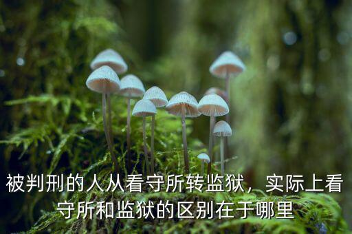 被判刑的人從看守所轉(zhuǎn)監(jiān)獄，實際上看守所和監(jiān)獄的區(qū)別在于哪里