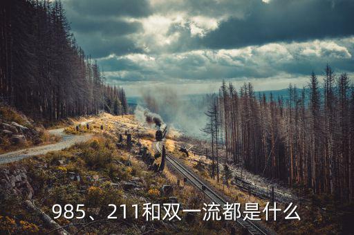 985、211和雙一流都是什么