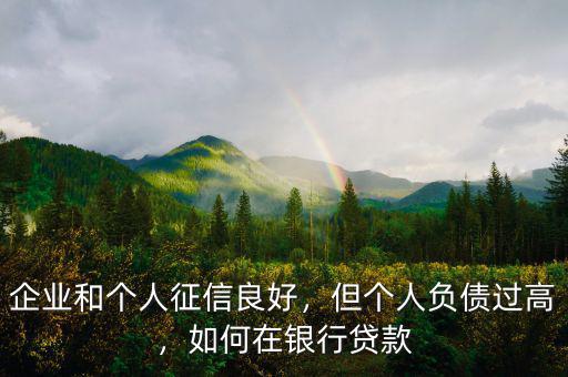 企業(yè)和個人征信良好，但個人負(fù)債過高，如何在銀行貸款