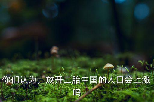 你們認(rèn)為，放開(kāi)二胎中國(guó)的人口會(huì)上漲嗎