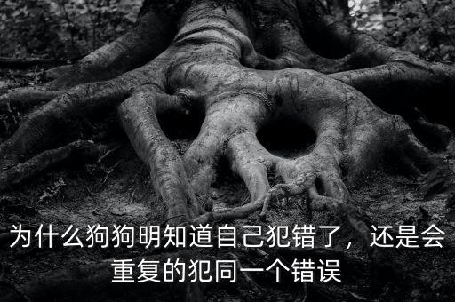為什么狗狗明知道自己犯錯了，還是會重復(fù)的犯同一個錯誤