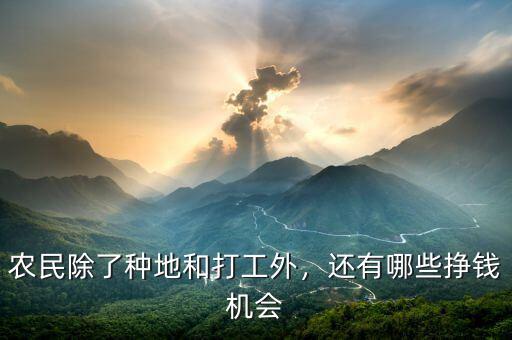 農民除了種地和打工外，還有哪些掙錢機會