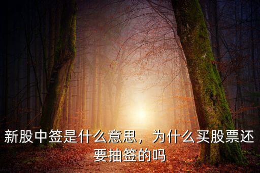 新股中簽是什么意思，為什么買股票還要抽簽的嗎