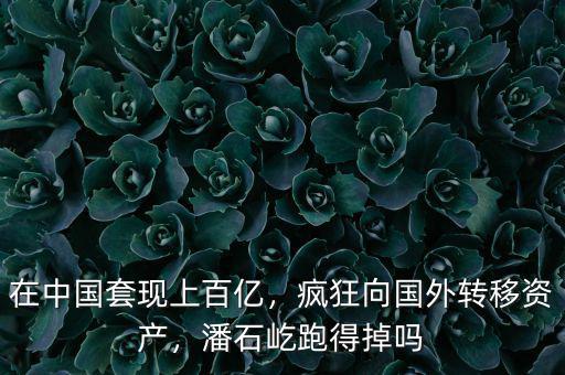 在中國套現(xiàn)上百億，瘋狂向國外轉(zhuǎn)移資產(chǎn)，潘石屹跑得掉嗎