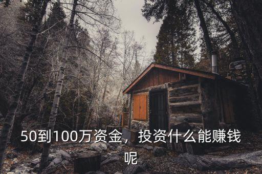 50到100萬(wàn)資金，投資什么能賺錢(qián)呢