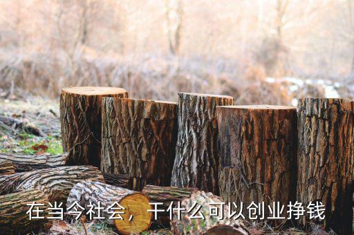 在當(dāng)今社會(huì)，干什么可以創(chuàng)業(yè)掙錢(qián)
