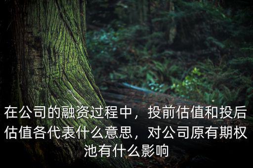 在公司的融資過程中，投前估值和投后估值各代表什么意思，對(duì)公司原有期權(quán)池有什么影響