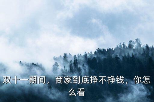 雙十一期間，商家到底掙不掙錢，你怎么看