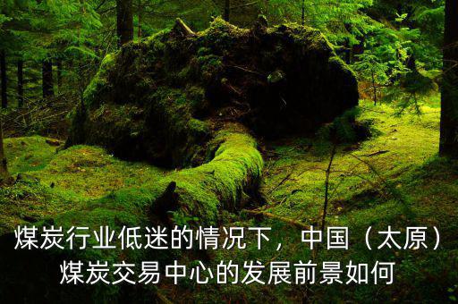 煤炭行業(yè)低迷的情況下，中國(guó)（太原）煤炭交易中心的發(fā)展前景如何