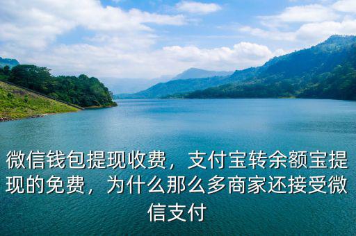微信錢包提現(xiàn)收費，支付寶轉(zhuǎn)余額寶提現(xiàn)的免費，為什么那么多商家還接受微信支付