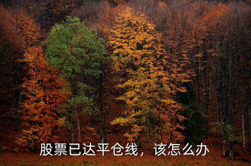 股票已達平倉線，該怎么辦