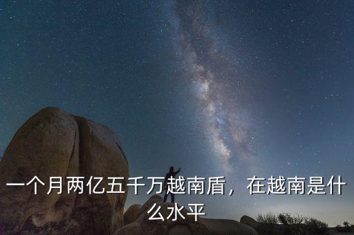 一個(gè)月兩億五千萬(wàn)越南盾，在越南是什么水平