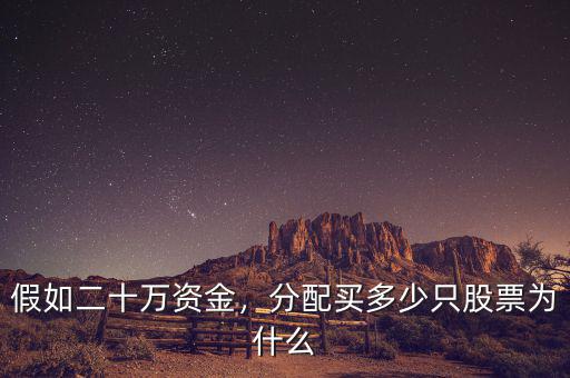 假如二十萬資金，分配買多少只股票為什么