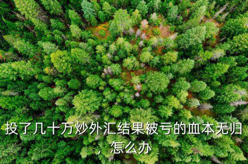 投了幾十萬炒外匯結(jié)果被虧的血本無歸，怎么辦