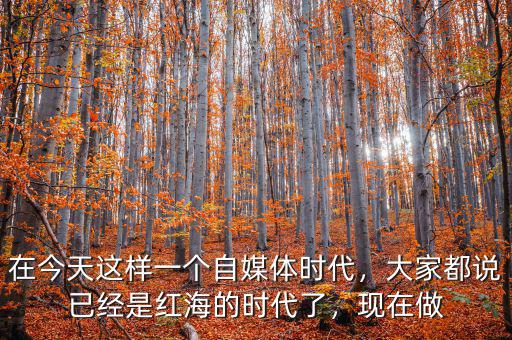 在今天這樣一個自媒體時代，大家都說已經(jīng)是紅海的時代了，現(xiàn)在做