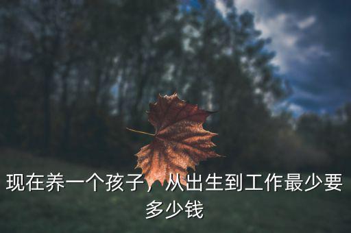 現(xiàn)在養(yǎng)一個(gè)孩子，從出生到工作最少要多少錢