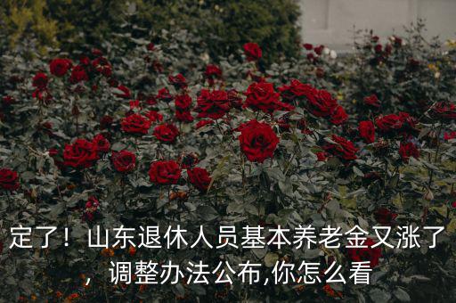 定了！山東退休人員基本養(yǎng)老金又漲了，調(diào)整辦法公布,你怎么看