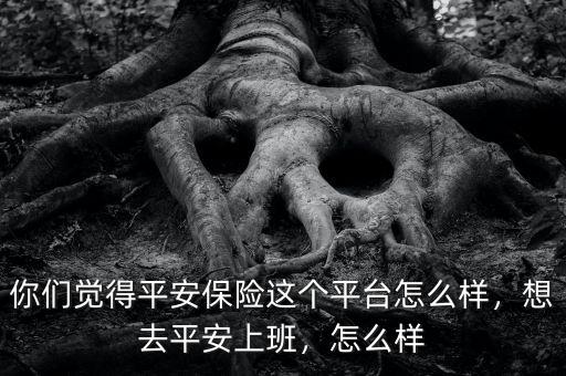 你們覺得平安保險這個平臺怎么樣，想去平安上班，怎么樣