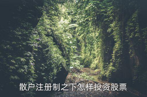 什么股票注冊(cè)制,散戶注冊(cè)制之下怎樣投資股票