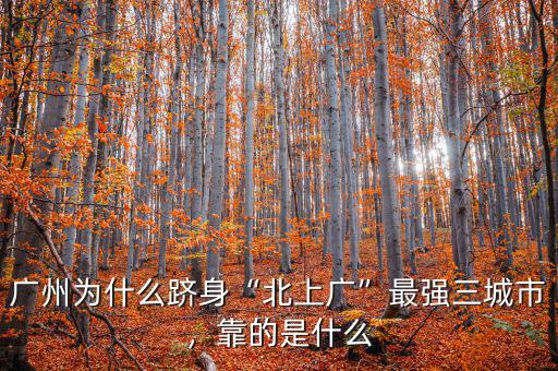 廣州為什么躋身“北上廣”最強三城市，靠的是什么