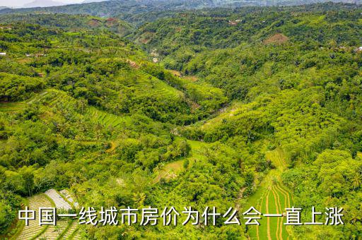 中國一線城市房價為什么會一直上漲