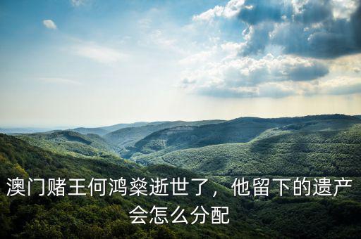 澳門賭王何鴻燊逝世了，他留下的遺產(chǎn)會(huì)怎么分配