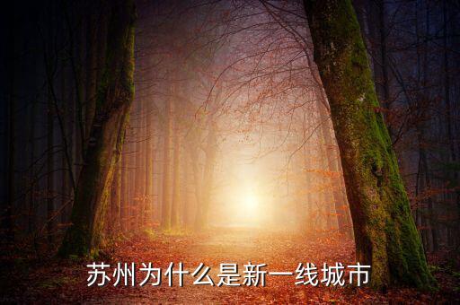 蘇州為什么是新一線城市