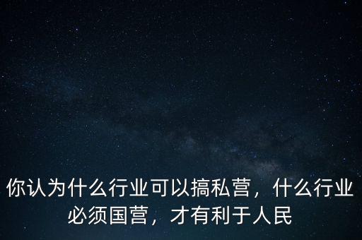 你認(rèn)為什么行業(yè)可以搞私營，什么行業(yè)必須國營，才有利于人民