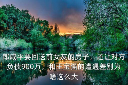 郎咸平要回送前女友的房子，還讓對方負債900萬，和王寶強的遭遇差別為啥這么大