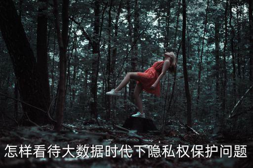 怎樣看待大數(shù)據(jù)時(shí)代下隱私權(quán)保護(hù)問(wèn)題