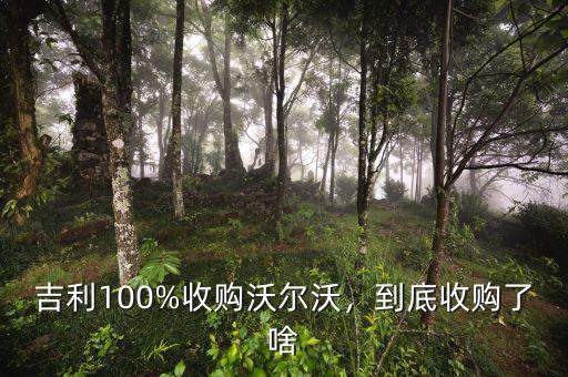 吉利100%收購(gòu)沃爾沃，到底收購(gòu)了啥