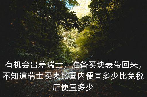 有機會出差瑞士，準備買塊表帶回來，不知道瑞士買表比國內(nèi)便宜多少比免稅店便宜多少