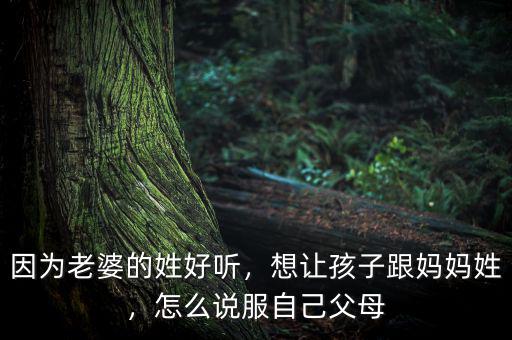 因?yàn)槔掀诺男蘸寐牐胱尯⒆痈鷭寢屝?，怎么說服自己父母