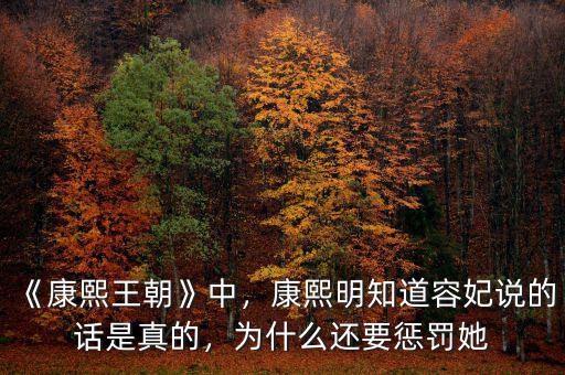 《康熙王朝》中，康熙明知道容妃說的話是真的，為什么還要懲罰她