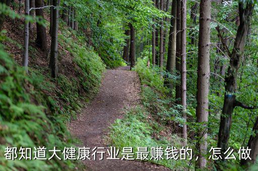 都知道大健康行業(yè)是最賺錢的，怎么做