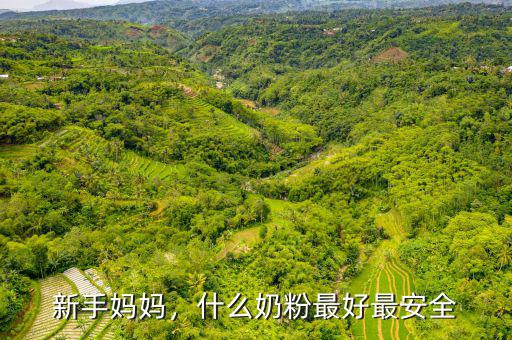 新手媽媽，什么奶粉最好最安全
