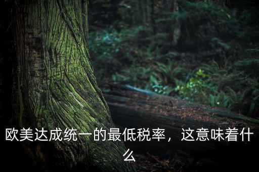 歐美達(dá)成統(tǒng)一的最低稅率，這意味著什么