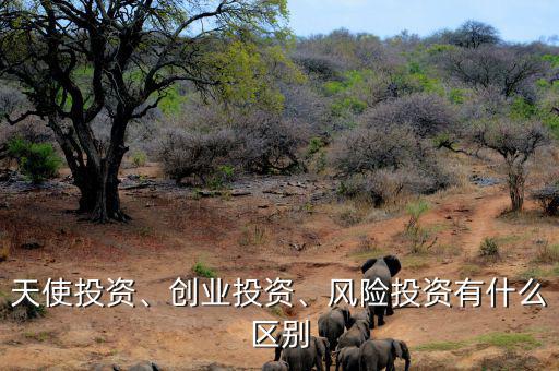 天使投資、創(chuàng)業(yè)投資、風(fēng)險(xiǎn)投資有什么區(qū)別