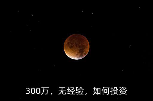 300萬，無經(jīng)驗(yàn)，如何投資