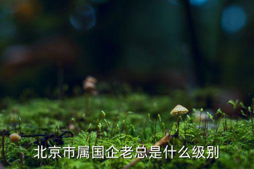 北京市屬國企老總是什么級別
