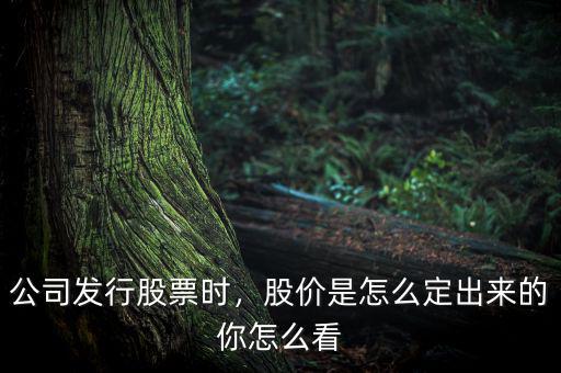 一般新股價(jià)什么時候出來,股價(jià)什么時候到底